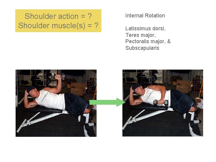 Shoulder action = ? Shoulder muscle(s) = ? Internal Rotation Latissimus dorsi, Teres major,