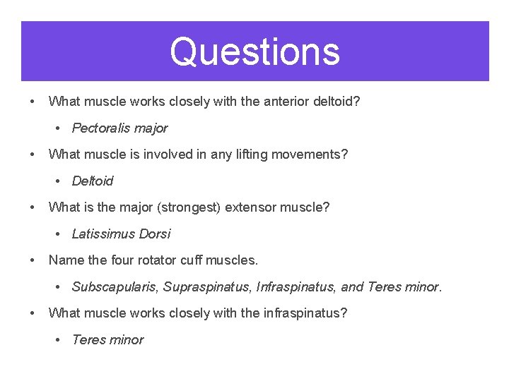 Questions • What muscle works closely with the anterior deltoid? • Pectoralis major •