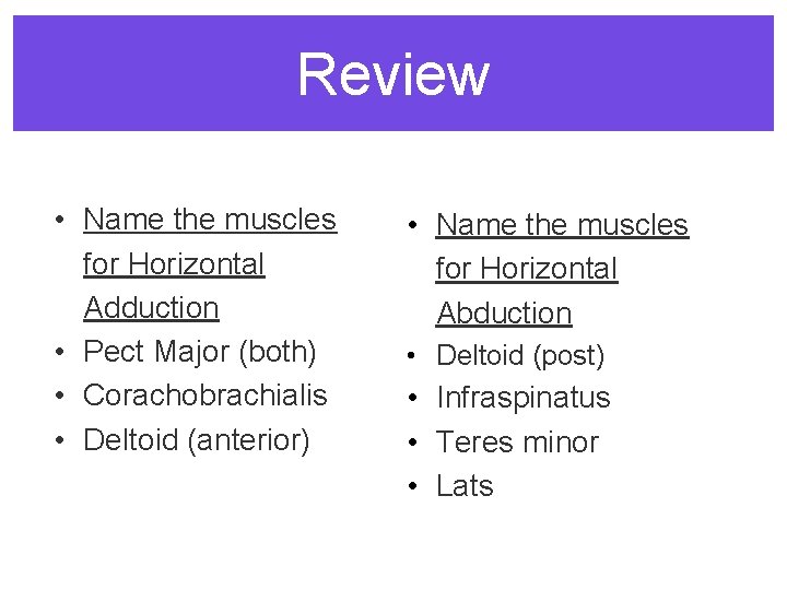 Review • Name the muscles for Horizontal Adduction • Pect Major (both) • Corachobrachialis