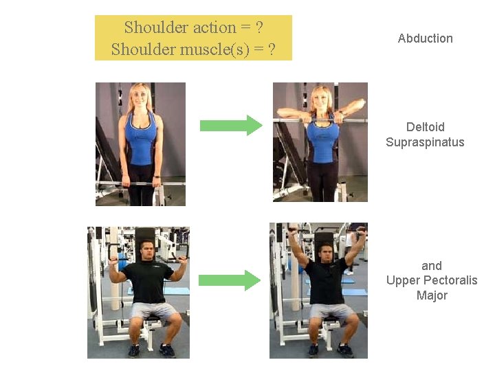 Shoulder action = ? Shoulder muscle(s) = ? Abduction Deltoid Supraspinatus and Upper Pectoralis