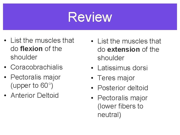 Review • List the muscles that do flexion of the shoulder • Coracobrachialis •