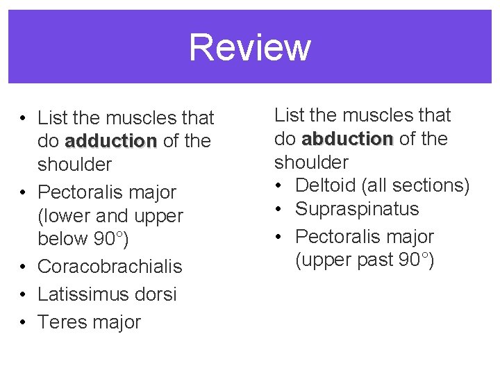 Review • List the muscles that do adduction of the shoulder • Pectoralis major
