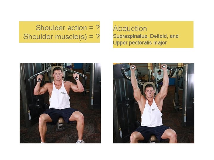 Shoulder action = ? Shoulder muscle(s) = ? Abduction Supraspinatus, Deltoid, and Upper pectoralis