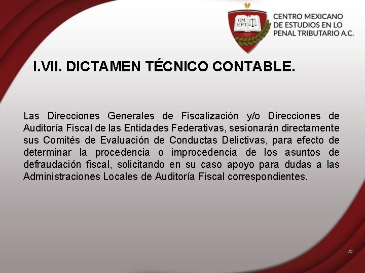 I. VII. DICTAMEN TÉCNICO CONTABLE. Las Direcciones Generales de Fiscalización y/o Direcciones de Auditoría