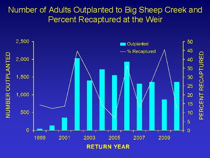 Number of Adults Outplanted to Big Sheep Creek and Percent Recaptured at the Weir