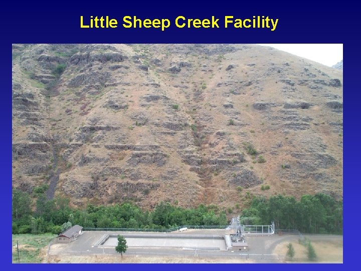 Little Sheep Creek Facility 