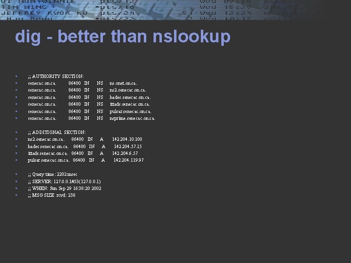 dig - better than nslookup § § § § ; ; AUTHORITY SECTION: senecac.