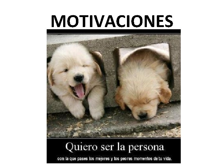 MOTIVACIONES MOTIVACIONES