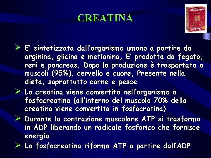 CREATINA Ø E’ sintetizzata dall’organismo umano a partire da Ø Ø Ø arginina, glicina