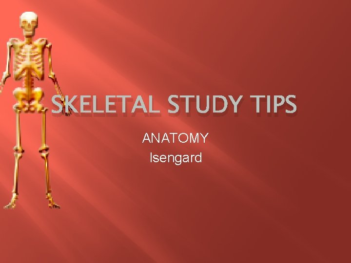 SKELETAL STUDY TIPS ANATOMY Isengard 