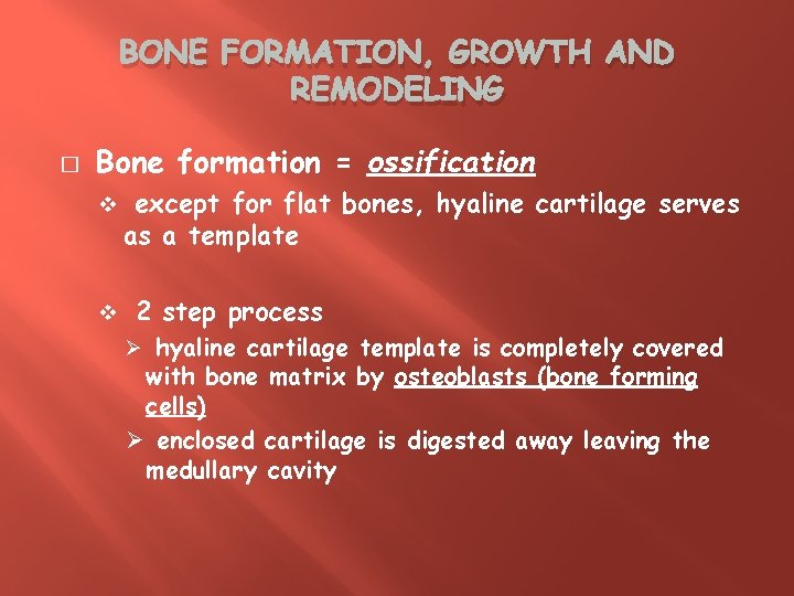 BONE FORMATION, GROWTH AND REMODELING � Bone formation = ossification v v except for