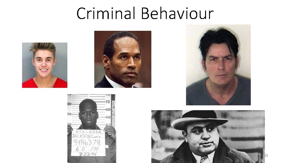Criminal Behaviour 53 Criminal Behaviour 53