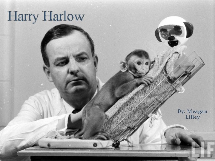 Harry Harlow By: Meagan Lilley 