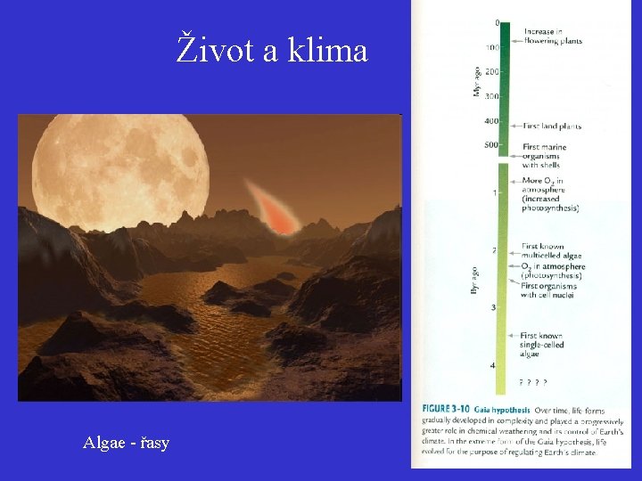 Život a klima Algae - řasy 14 