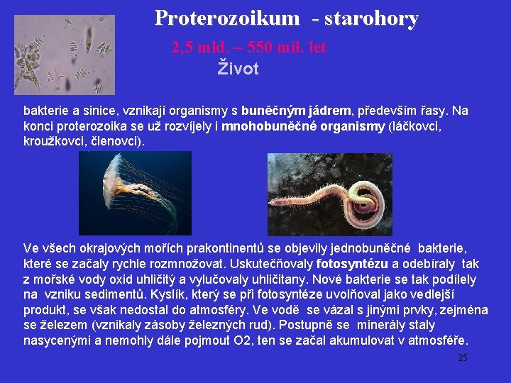 Proterozoikum - starohory 2, 5 mld. – 550 mil. let Život bakterie a