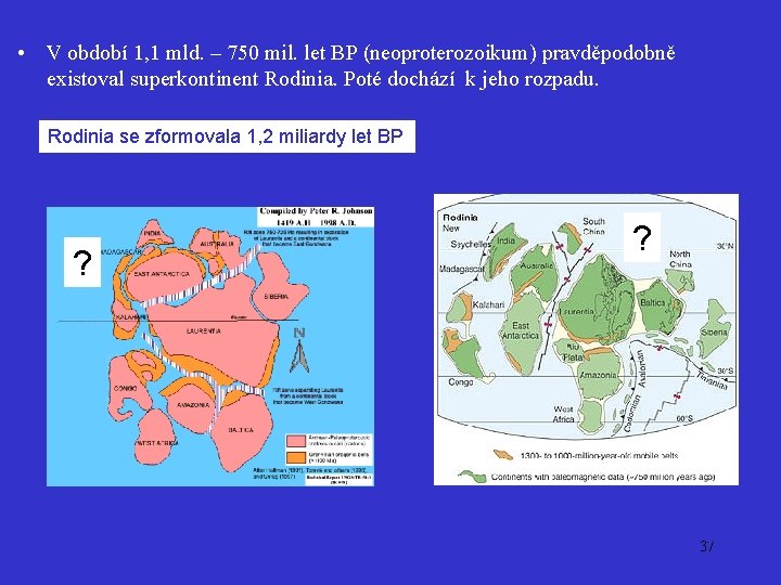  • V období 1, 1 mld. – 750 mil. let BP (neoproterozoikum) pravděpodobně