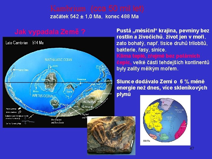Kambrium (cca 50 mil let) začátek 542 ± 1, 0 Ma, konec 488 Ma
