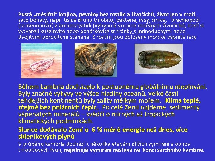 Pustá „měsíční“ krajina, pevniny bez rostlin a živočichů, život jen v moři, zato bohatý,