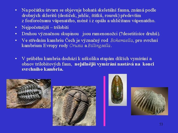  • Na počátku útvaru se objevuje bohatá skeletální fauna, známá podle drobných skleritů