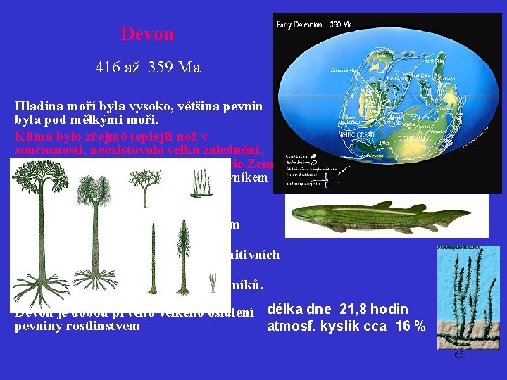 Devon 416 až 359 Ma Hladina moří byla vysoko, většina pevnin byla pod mělkými