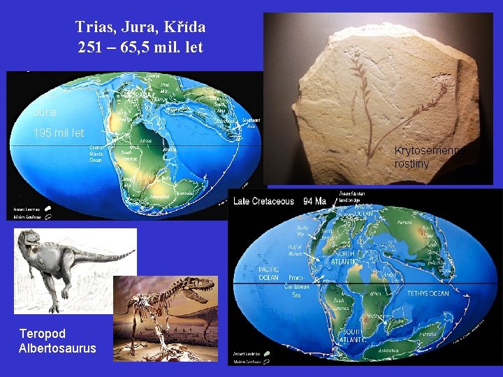 Trias, Jura, Křída 251 – 65, 5 mil. let Jura 195 mil let Krytosemenné