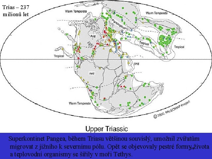 Trias – 237 milionů let Trias Superkontinet Pangea, během Triasu většinou souvislý, umožnil zvířatům