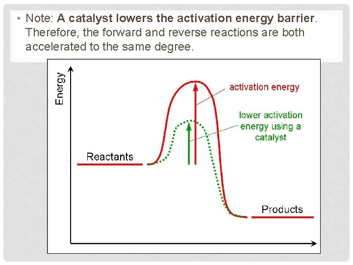  • Note: A catalyst lowers the activation energy barrier. Therefore, the forward and