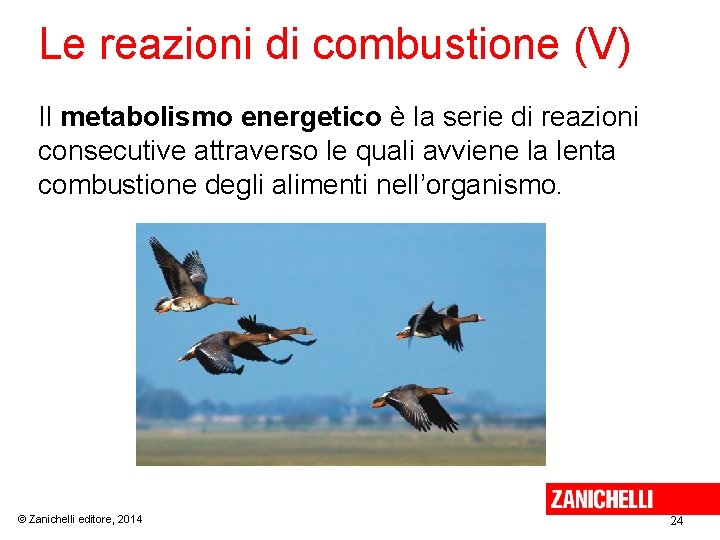 Le reazioni di combustione (V) Il metabolismo energetico è la serie di reazioni consecutive