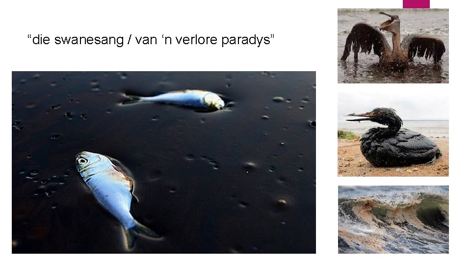 “die swanesang / van ‘n verlore paradys” 