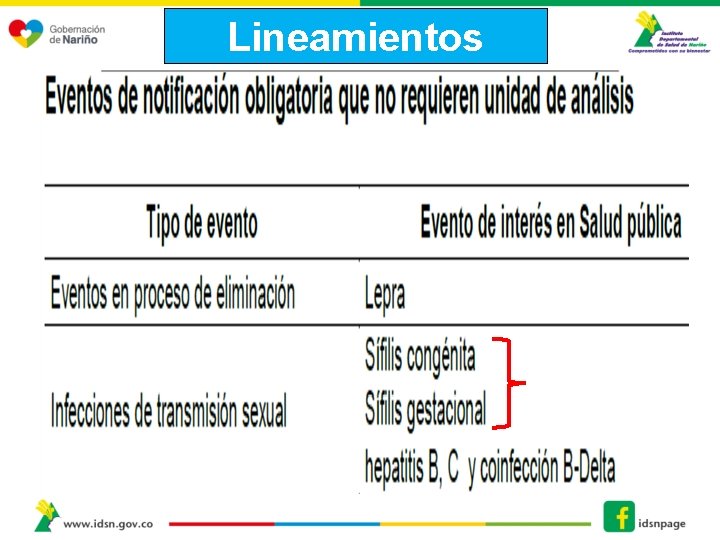 Lineamientos 