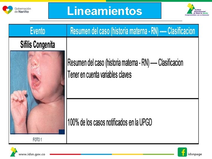 Lineamientos 