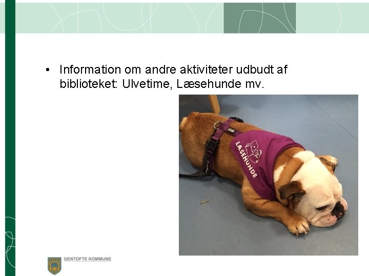  • Information om andre aktiviteter udbudt af biblioteket: Ulvetime, Læsehunde mv. 