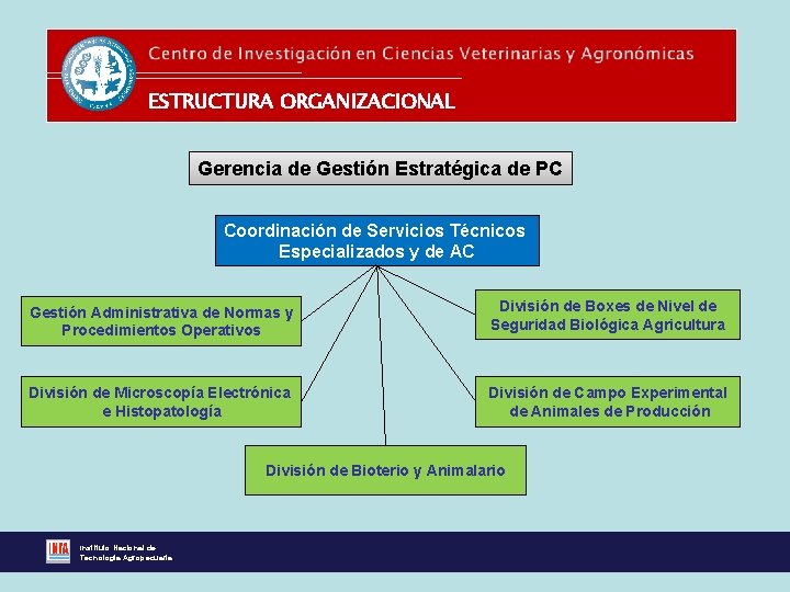 ESTRUCTURA ORGANIZACIONAL Gerencia de Gestión Estratégica de PC Coordinación de Servicios Técnicos Especializados y