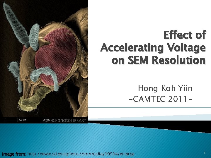 Effect of Accelerating Voltage on SEM Resolution Hong Koh Yiin -CAMTEC 2011 - Image