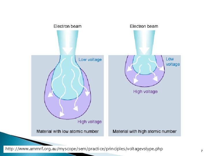 http: //www. ammrf. org. au/myscope/sem/practice/principles/voltagevstype. php 7 