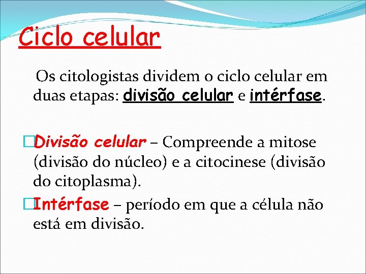 Ciclo celular Os citologistas dividem o ciclo celular em duas etapas: divisão celular e