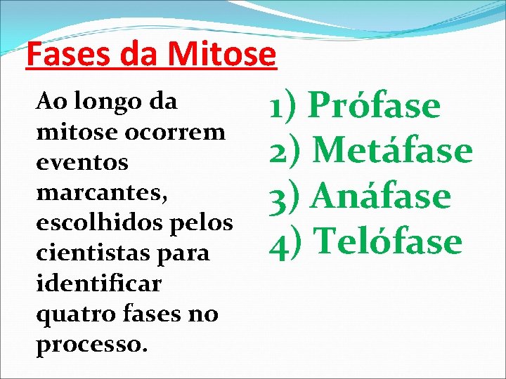 Fases da Mitose Ao longo da 1) Prófase mitose ocorrem 2) Metáfase eventos marcantes,