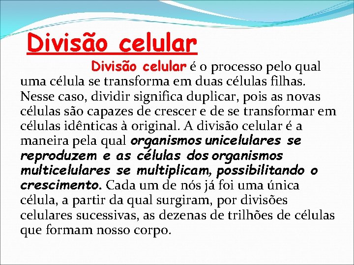 Divisão celular é o processo pelo qual uma célula se transforma em duas células