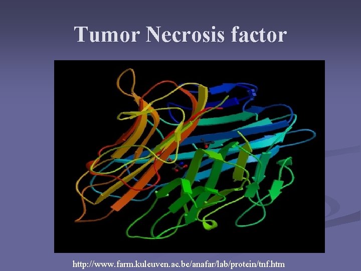 Tumor Necrosis factor http: //www. farm. kuleuven. ac. be/anafar/lab/protein/tnf. htm Tumor Necrosis factor http: //www. farm. kuleuven. ac. be/anafar/lab/protein/tnf. htm