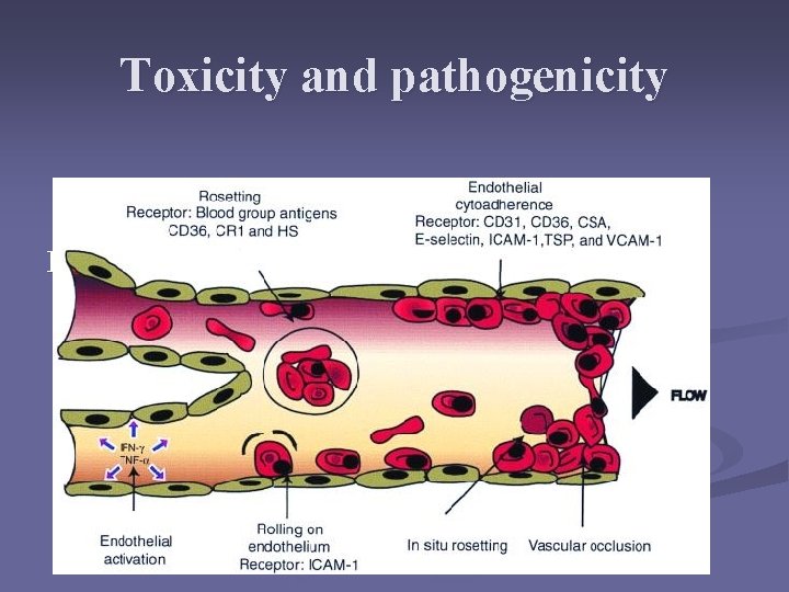 Toxicity and pathogenicity Proteins and cell membranes Toxicity and pathogenicity Proteins and cell membranes