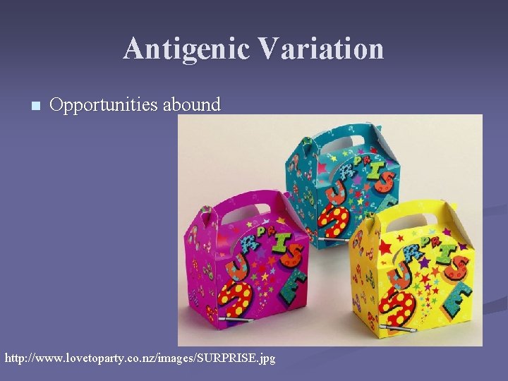 Antigenic Variation n Opportunities abound http: //www. lovetoparty. co. nz/images/SURPRISE. jpg Antigenic Variation n Opportunities abound http: //www. lovetoparty. co. nz/images/SURPRISE. jpg