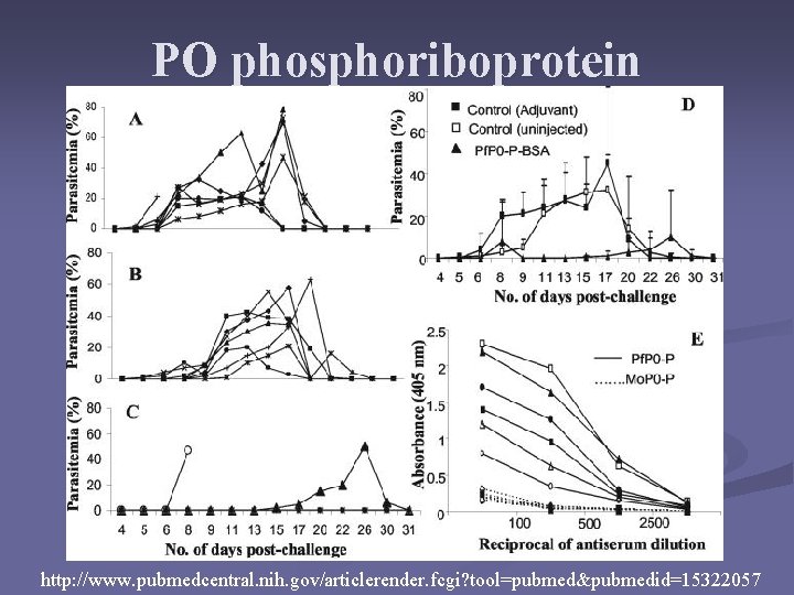 PO phosphoriboprotein http: //www. pubmedcentral. nih. gov/articlerender. fcgi? tool=pubmed&pubmedid=15322057 PO phosphoriboprotein http: //www. pubmedcentral. nih. gov/articlerender. fcgi? tool=pubmed&pubmedid=15322057