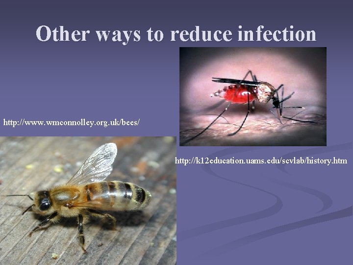 Other ways to reduce infection http: //www. wmconnolley. org. uk/bees/ http: //k 12 education. Other ways to reduce infection http: //www. wmconnolley. org. uk/bees/ http: //k 12 education.