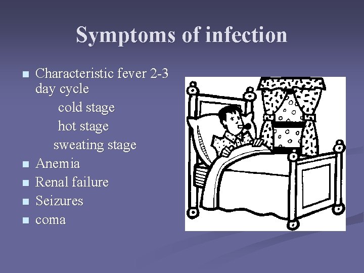 Symptoms of infection n n Characteristic fever 2 -3 day cycle cold stage hot Symptoms of infection n n Characteristic fever 2 -3 day cycle cold stage hot