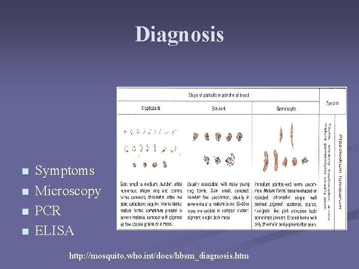 Diagnosis n n Symptoms Microscopy PCR ELISA http: //mosquito. who. int/docs/hbsm_diagnosis. htm Diagnosis n n Symptoms Microscopy PCR ELISA http: //mosquito. who. int/docs/hbsm_diagnosis. htm