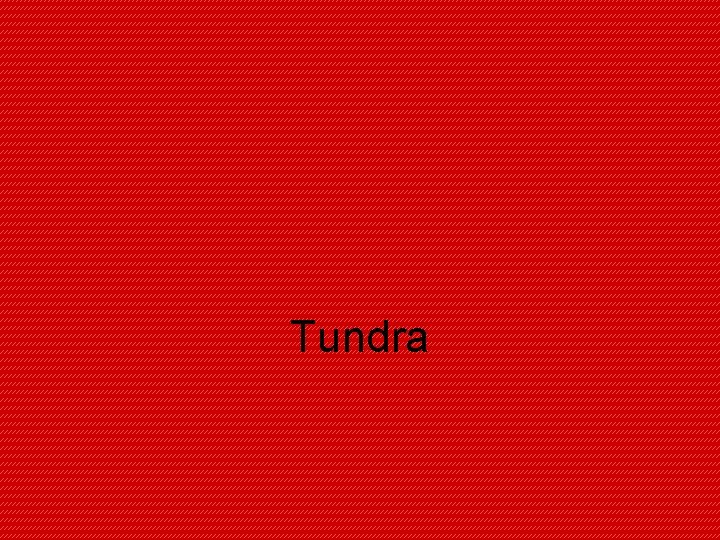 Tundra 