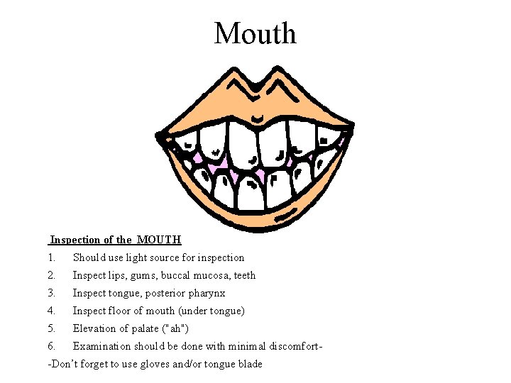 Mouth Inspection of the MOUTH 1. Should use light source for inspection 2. Inspect