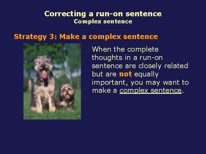 Correcting a run-on sentence Complex sentence Strategy 3: Make a complex sentence When the
