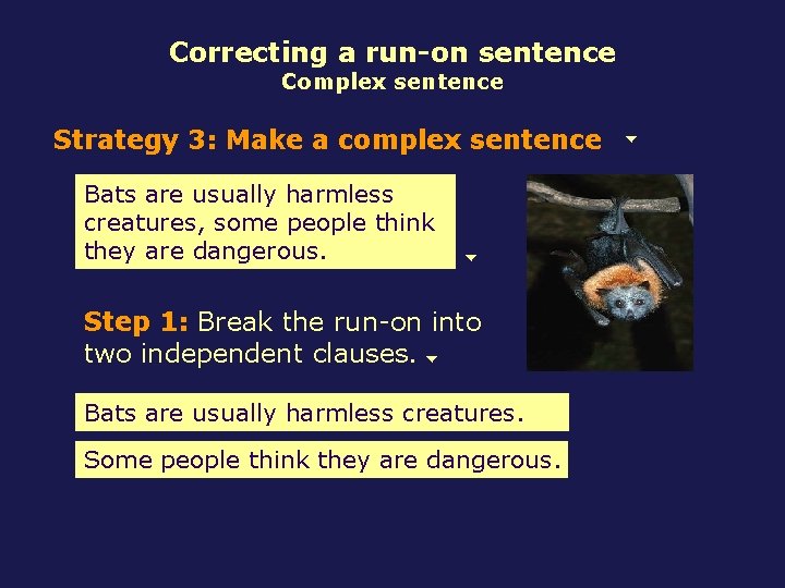 Correcting a run-on sentence Complex sentence Strategy 3: Make a complex sentence Bats are