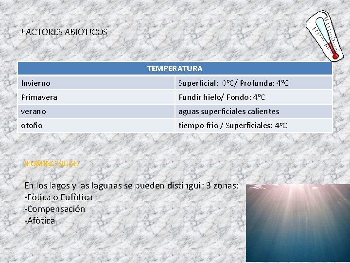 FACTORES ABIOTICOS TEMPERATURA Invierno Superficial: 0 o. C/ Profunda: 4 o. C Primavera Fundir
